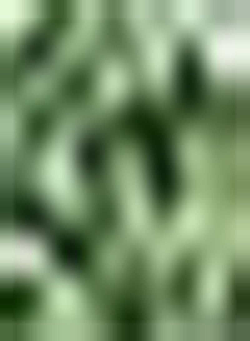 جي جوت 30 قطعة من نباتات الحدائق والأحجار الكريمة في الهواء الطلق من Erbstücken تمثل مجموعة كبيرة من حدائق ومجموعات حدائق لجلبها - Image 3