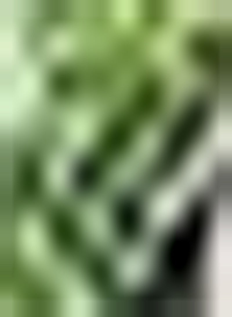 جي جوت 30 قطعة من نباتات الحدائق والأحجار الكريمة في الهواء الطلق من Erbstücken تمثل مجموعة كبيرة من حدائق ومجموعات حدائق لجلبها - Image 1