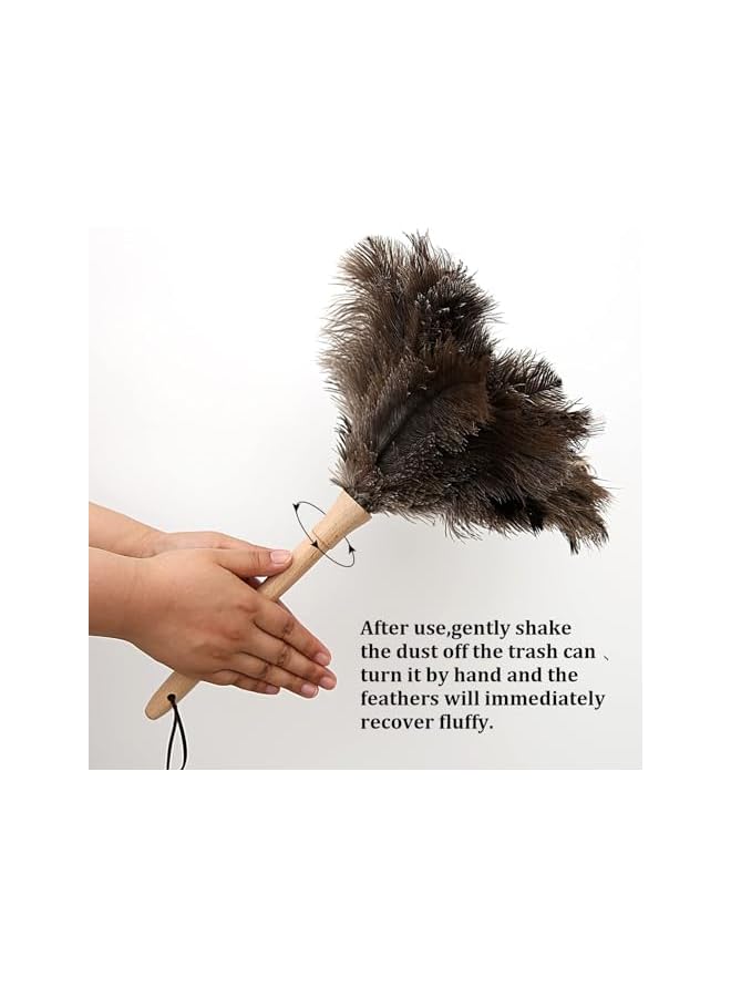 erorex Ostrich Feather Duster 16 inch Ostrich Feather Duster Fluffy Natural Genuine Ostrich Feathers with Wooden Handle and Eco-Friendly Reusable Handheld Ostrich Feather Duster for Cleaning Supplies - Image 4