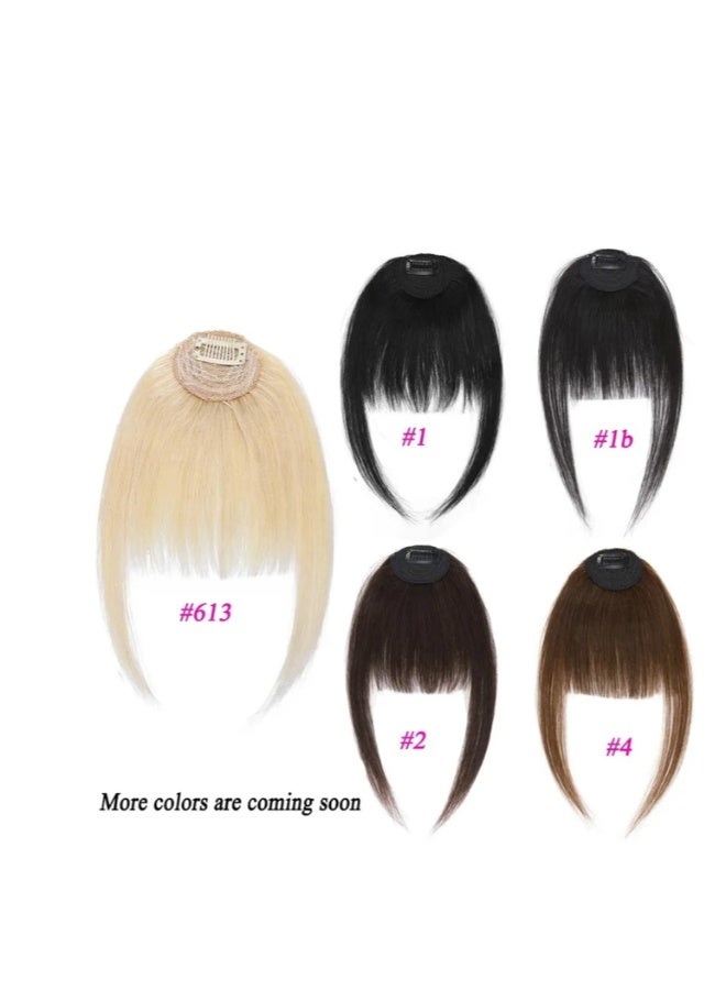 Clip in Bangs 100٪ ملحقات الشعر البشري الحقيقية Clip on Wispy Bangs للنساء هامش مع معابد قطع الشعر لون بني داكن - Image 5