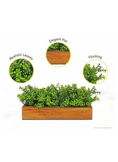 Generic Artificial Gardenia Plant Bunch In Wood Planter Home And Office Decor Plants For Decoration  - Image 2