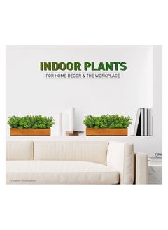 Generic Artificial Gardenia Plant Bunch In Wood Planter Home And Office Decor Plants For Decoration  - Image 4