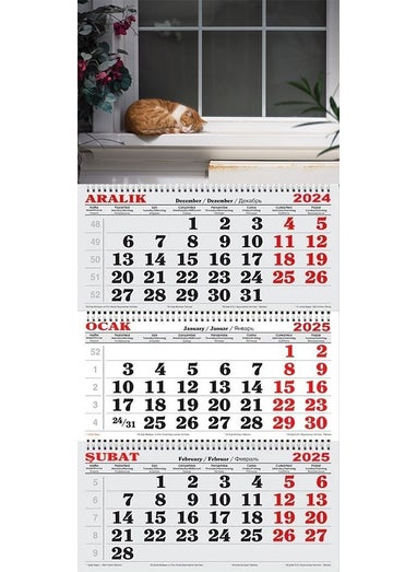 GENC DIJITAL BASKI GENC DIGITAL PRINTING 2025 Sailor Calendar-Cat in Front of the Window 