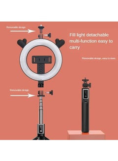 Qasul LED Ring Fill Light Remote Control Youtube Tiktok Vk Vlog Makeup Live Selfie Cell Phone Holder  - Image 4