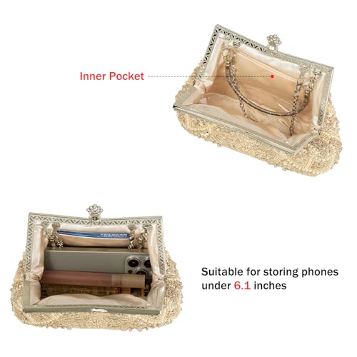 DA BODAN Women's Evening Bag Vintage Beaded Sequin Pearl Clutch Handbag Shoulder Bag Purses for Wedding Bridal Prom Party (Champagne) - Image 3