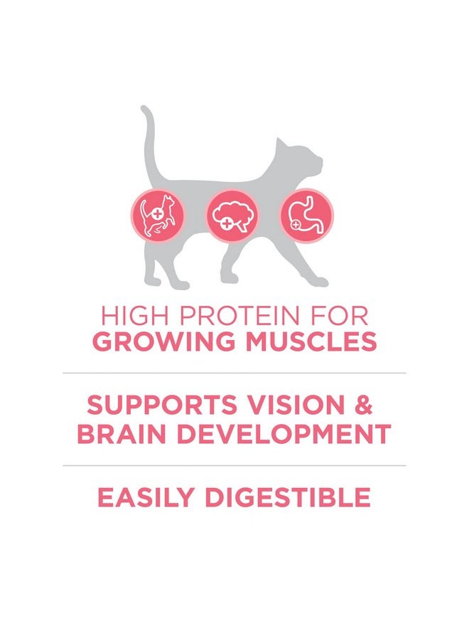 بيورينا ون طعام القطط الجاف الطبيعي عالي البروتين Purina ONE، تركيبة صحية للقطط - كيس 7 رطل  - Image 2