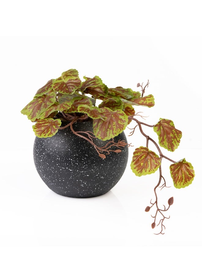 DRAMA HOME Artificial Hanging Plant for Home Décor in Black Pot in a Circular Shape  - Image 3