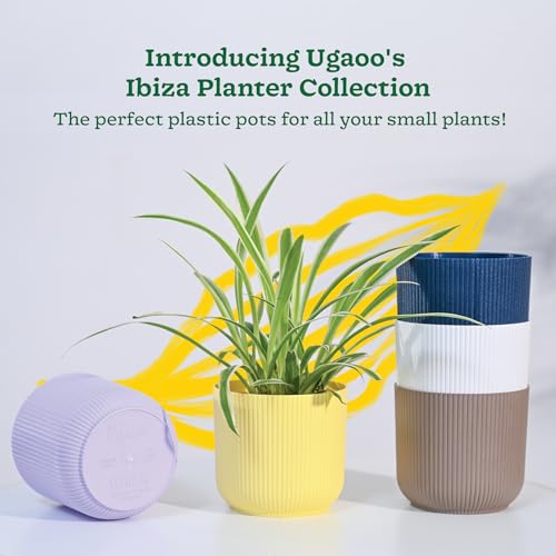 UGAOO Ibiza Pots for Home Planters, Decor, Garden Multicolour | Suitable for Home Indoor & Outdoor Gardening Plants (Ibiza Pots Pack of 5) - Image 2
