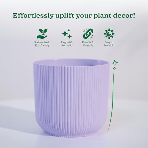 UGAOO Ibiza Pots for Home Planters, Decor, Garden Multicolour | Suitable for Home Indoor & Outdoor Gardening Plants (Ibiza Pots Pack of 5) - Image 4