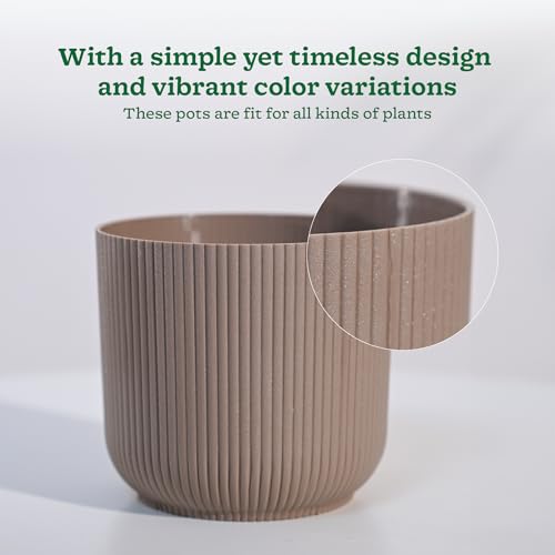 UGAOO Ibiza Pots for Home Planters, Decor, Garden Multicolour | Suitable for Home Indoor & Outdoor Gardening Plants (Ibiza Pots Pack of 5) - Image 3