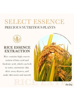 Olala Gallery Olala Rice 99% Row Pulp Gel Moisturizes, Soothes, Nourishes, Protects Against Uv Damage, Pigmentation, Spots For Improved Skin Texture  - Image 2