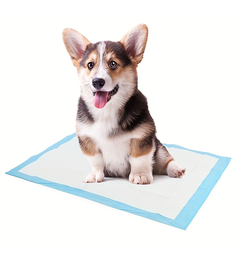 40 Pcs Unscented Dog Pee Pads Quilted Leakproof Instant Absorption Potty Training Indoor Floor Protection - Image 5