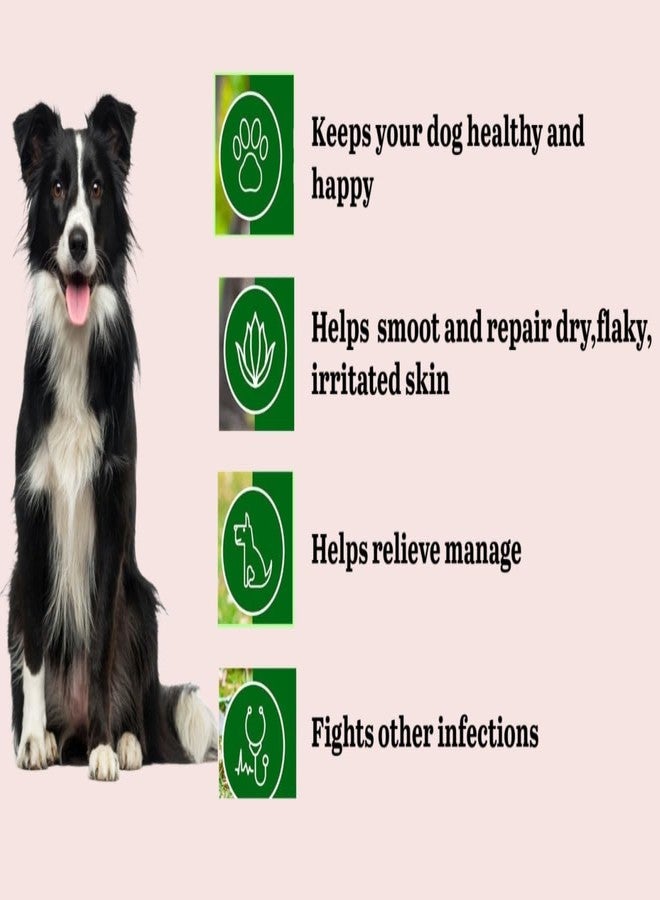 swacch شامبو سواتش، تركيبة خاصة لكلاب البيغل، عبوة 1 لتر تحتوي على 3 أنواع: الياسمين، النيم، الألوفيرا، والليمون - Image 4