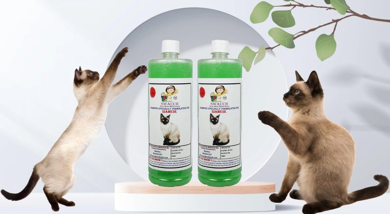 SWACCH Shampoo Specially FORMULATED for Siamese CAT (1 Litre) (Pack of 2) NEEM ALOVERA - Image 2