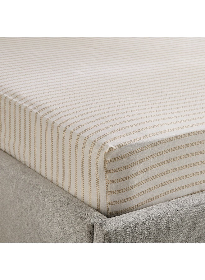 Home Box Cotton King Fitted Sheet - Striped Design - Image 1