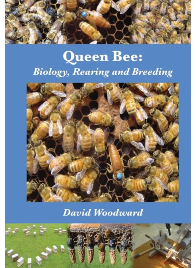 Queen Bee : Biology, Rearing and Breeding 