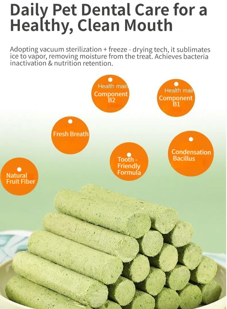 12 قطعة من أعواد العشب للقطط لتنظيف الأسنان بأمان داخل المنزل، فرشاة أسنان للقطط، لعبة للمضغ لجميع السلالات، عصا تسنين من العشب للقطط - Image 4