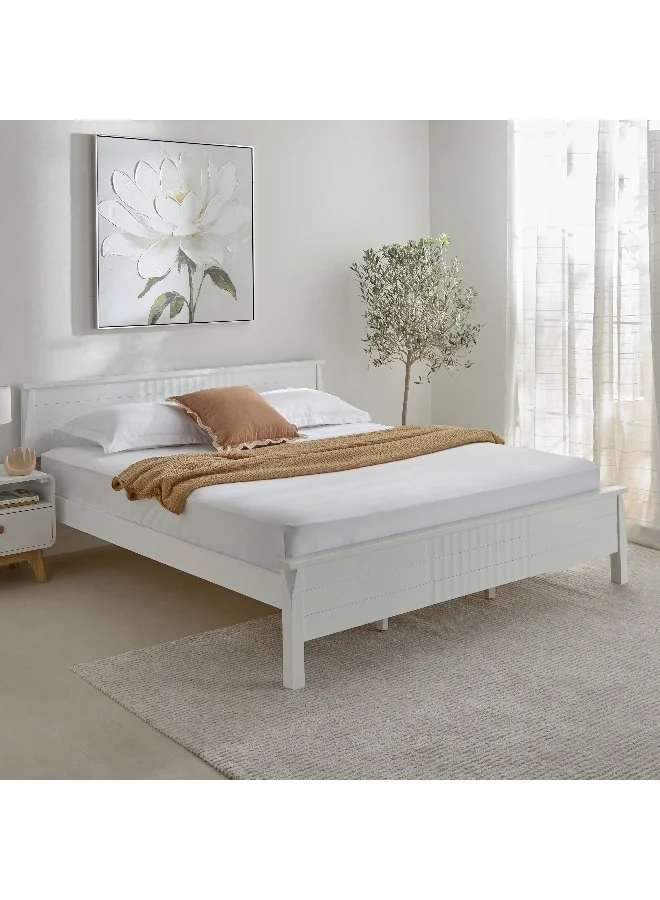 Home Box Opulent Luxe Solid Cotton Olympic Queen Fitted Sheet - 160x200+40 cm