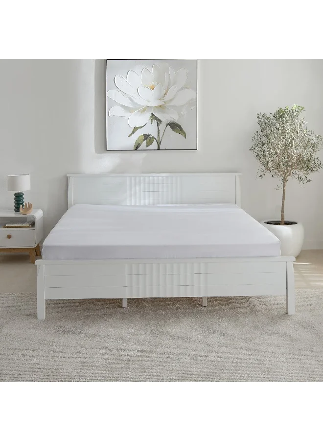 Home Box Opulent Luxe Solid Cotton Olympic Queen Fitted Sheet - 160x200+40 cm