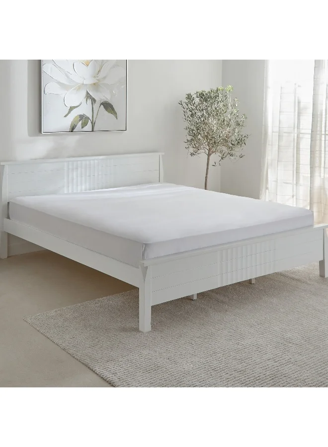 Home Box Opulent Luxe Solid Cotton Olympic Queen Fitted Sheet - 160x200+40 cm