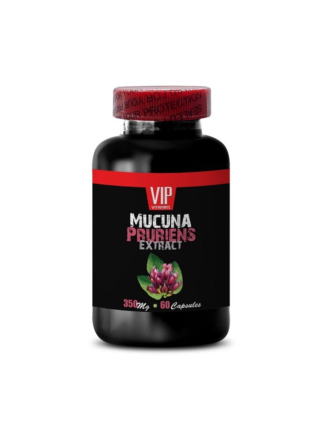 VIP VITAMINS - Stress And Energy Supplements Mucuna Pruriens Extract Velvet Beans Mucuna Pruriens Beans Mucuna Pruriens Mucuna Pruriens Capsules Velvet Bean Extract Mucuna Powder Mucuna 1B 60 Capsules - Image 1