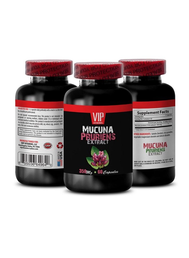 VIP VITAMINS - Stress And Energy Supplements Mucuna Pruriens Extract Velvet Beans Mucuna Pruriens Beans Mucuna Pruriens Mucuna Pruriens Capsules Velvet Bean Extract Mucuna Powder Mucuna 1B 60 Capsules - Image 1