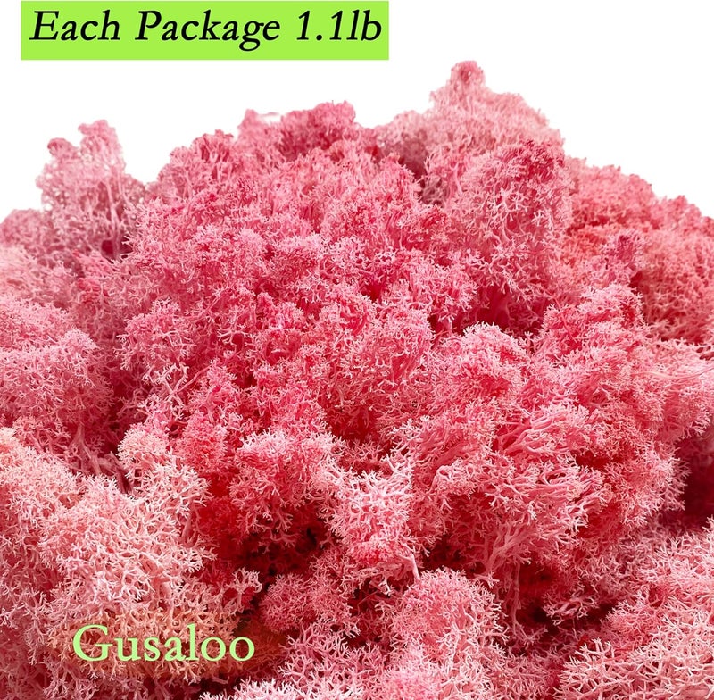 Gusaloo Preserved Moss 1.1lb Artificial Natural Fresh Green Moss for Craft Handicraft Arts Floral Project Wall Decor Table Decor Wedding Centerpieces Garden Terrariums Decoration - Image 4
