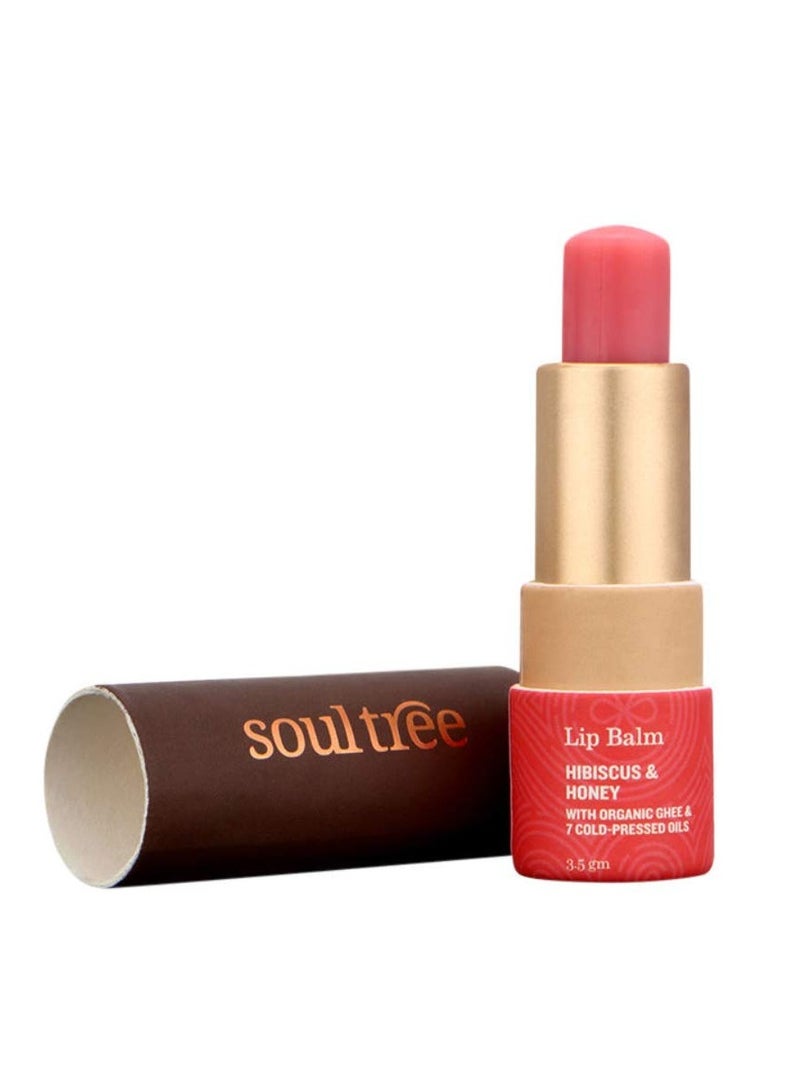 SoulTree Lip Balm Hibiscus Honey with Organic Ghee Feel nourished 3.5gm - Image 1