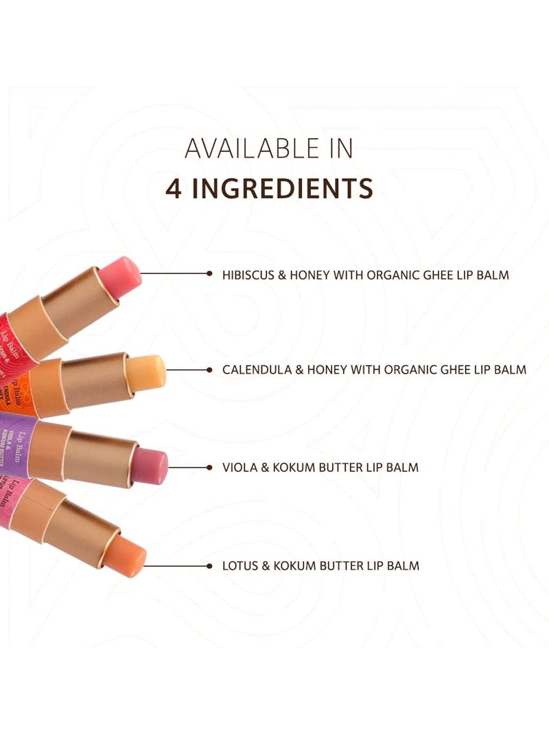 SoulTree Lip Balm Hibiscus Honey with Organic Ghee Feel nourished 3.5gm - Image 4