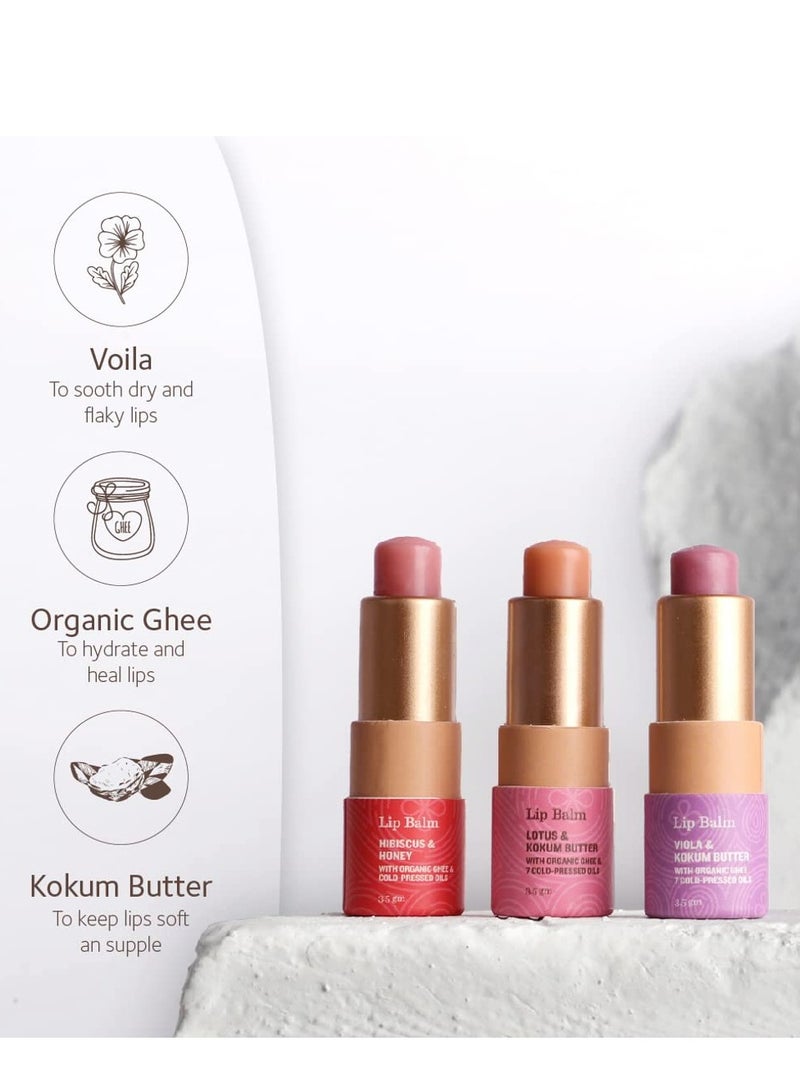 SoulTree Lip Balm Hibiscus Honey with Organic Ghee Feel nourished 3.5gm - Image 2