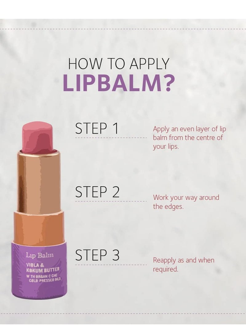 SoulTree Lip Balm Hibiscus Honey with Organic Ghee Feel nourished 3.5gm - Image 3