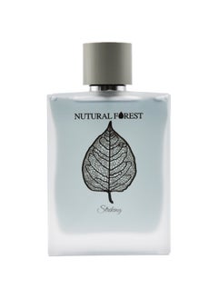 Nutural Forest Striking EDP 100 ml Men