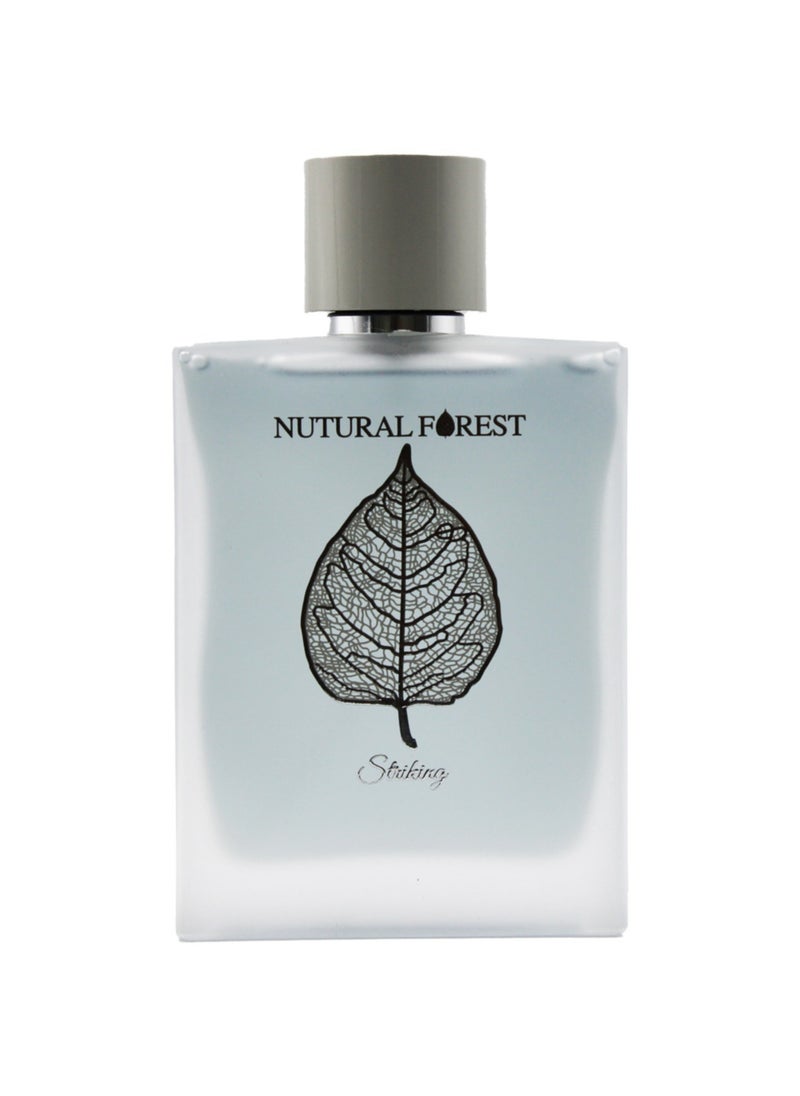 Linea De Bella - Nutural Forest Striking EDP 100 ml Men - Image 1