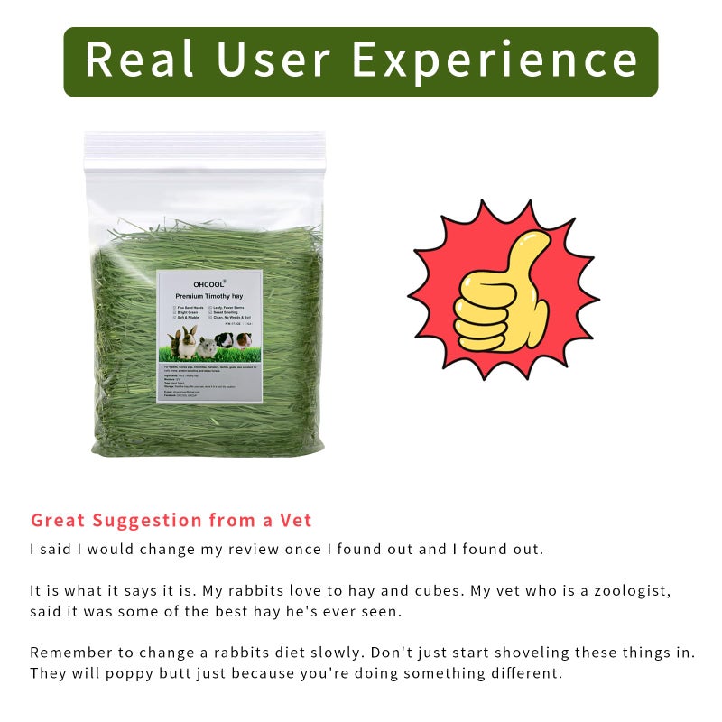 Ohcool Timothy Hay 1.1LB - Dust Free Natural Green Fresh Food Hay for Rabbits Tortoise Guinea Pig Chinchilla - Image 4
