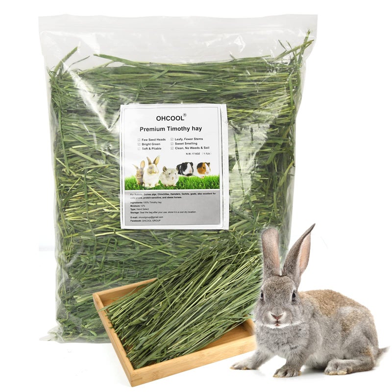 Ohcool Timothy Hay 1.1LB - Dust Free Natural Green Fresh Food Hay for Rabbits Tortoise Guinea Pig Chinchilla - Image 1