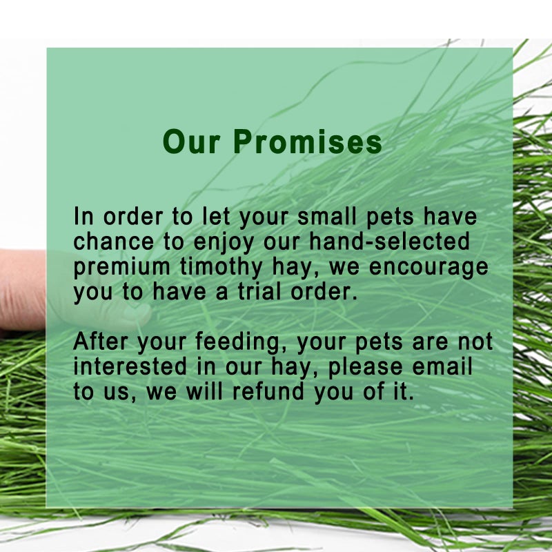 Ohcool Timothy Hay 1.1LB - Dust Free Natural Green Fresh Food Hay for Rabbits Tortoise Guinea Pig Chinchilla - Image 2
