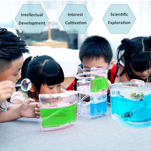 EXBEPE Ant Farm for Kids Gel Castle Colony Ecosystem Terrarium Kit Habitat Science Learning Kit - Image 5