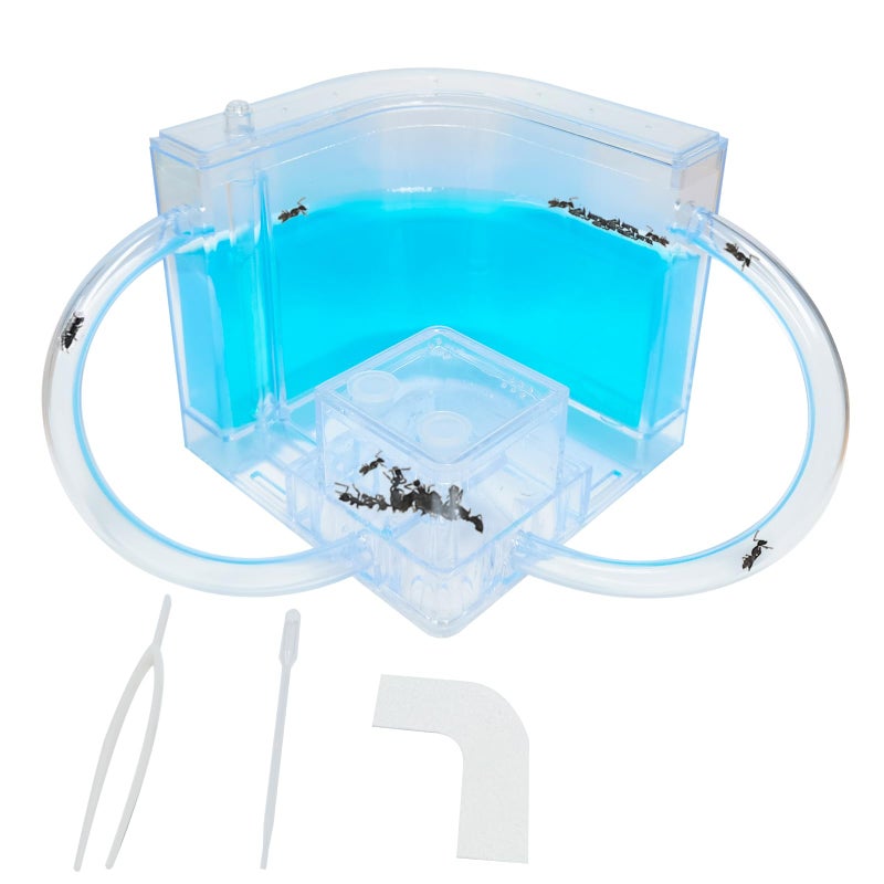 EXBEPE Ant Farm for Kids Gel Castle Colony Ecosystem Terrarium Kit Habitat Science Learning Kit - Image 3