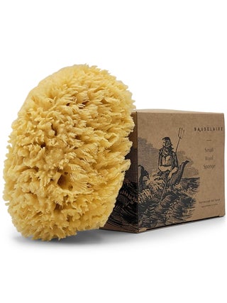 Sea Wool Sponge by Baudelaire 4.5" - Natural Sea Sponges for Bathing - Bath Sea Sponge for Shower - Natural Sea Sponge Loofah | Durable | Sustainable & Environment-Friendly Natural Sponges for Body - pzsku/Z37CA63F9F04978237063Z/45/_/1741798784/bd2720ff-a72d-49c9-8f59-85f047fddc50