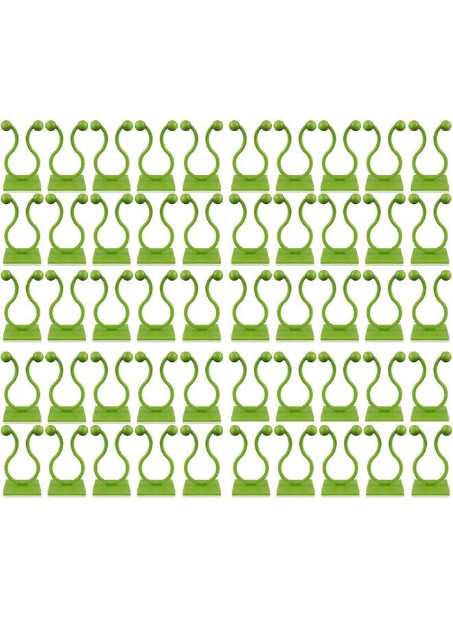 Green Plants Wall-Climbing Holder Self-Adhesive Hook Cirrus Wall Climbing Fixed Hook  - Image 1