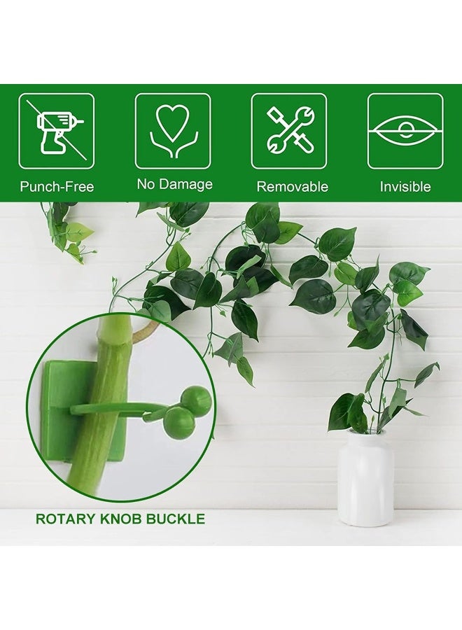 Green Plants Wall-Climbing Holder Self-Adhesive Hook Cirrus Wall Climbing Fixed Hook  - Image 3