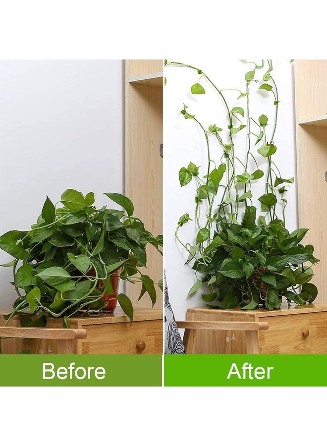 Green Plants Wall-Climbing Holder Self-Adhesive Hook Cirrus Wall Climbing Fixed Hook  - Image 4