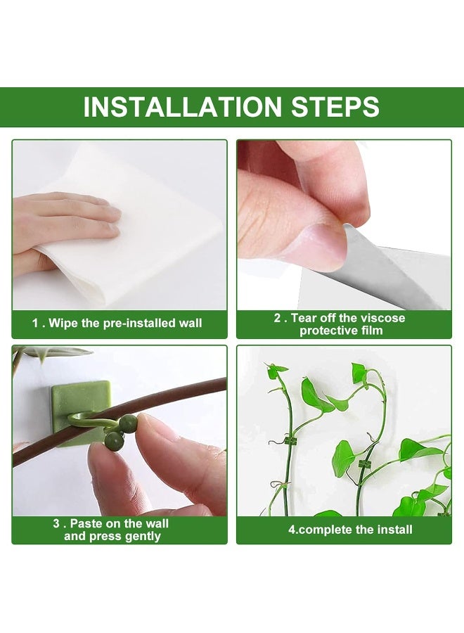 Green Plants Wall-Climbing Holder Self-Adhesive Hook Cirrus Wall Climbing Fixed Hook  - Image 5