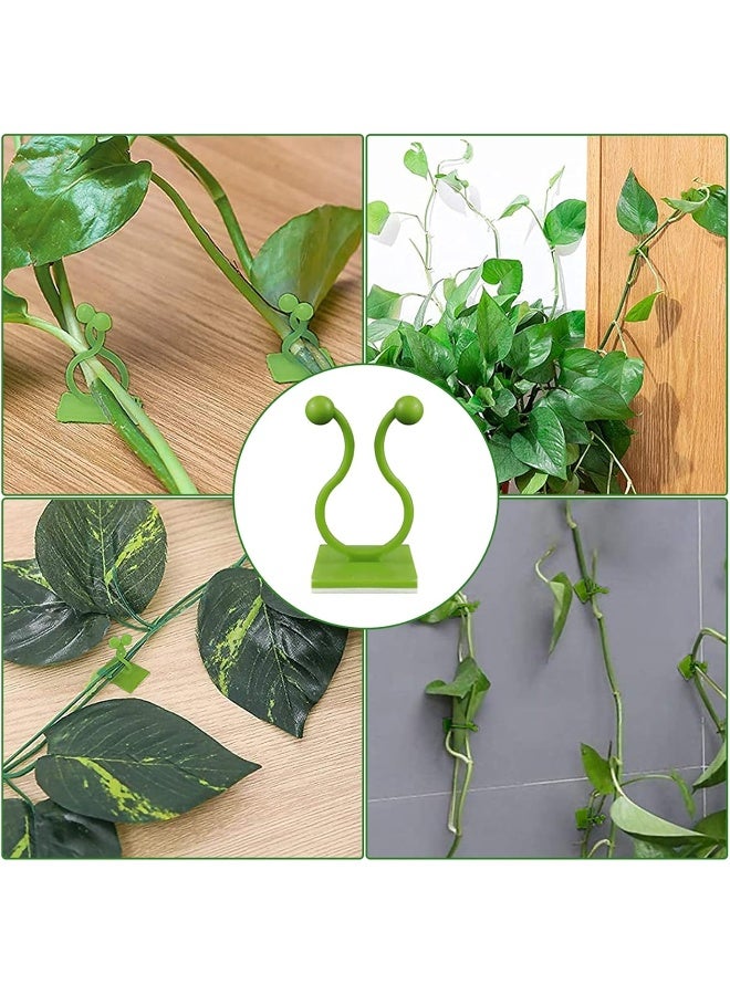 Green Plants Wall-Climbing Holder Self-Adhesive Hook Cirrus Wall Climbing Fixed Hook  - Image 2