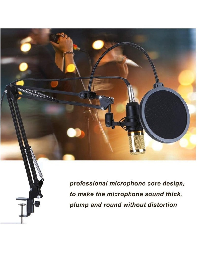 Blueland Microphone,Live Sound Card & BM800 Suspension Microphone Kit Broadcasting Recording Condenser Microphone Set Intelligent Volume Audio Mixer Sound Card for Computer PC Live Sound