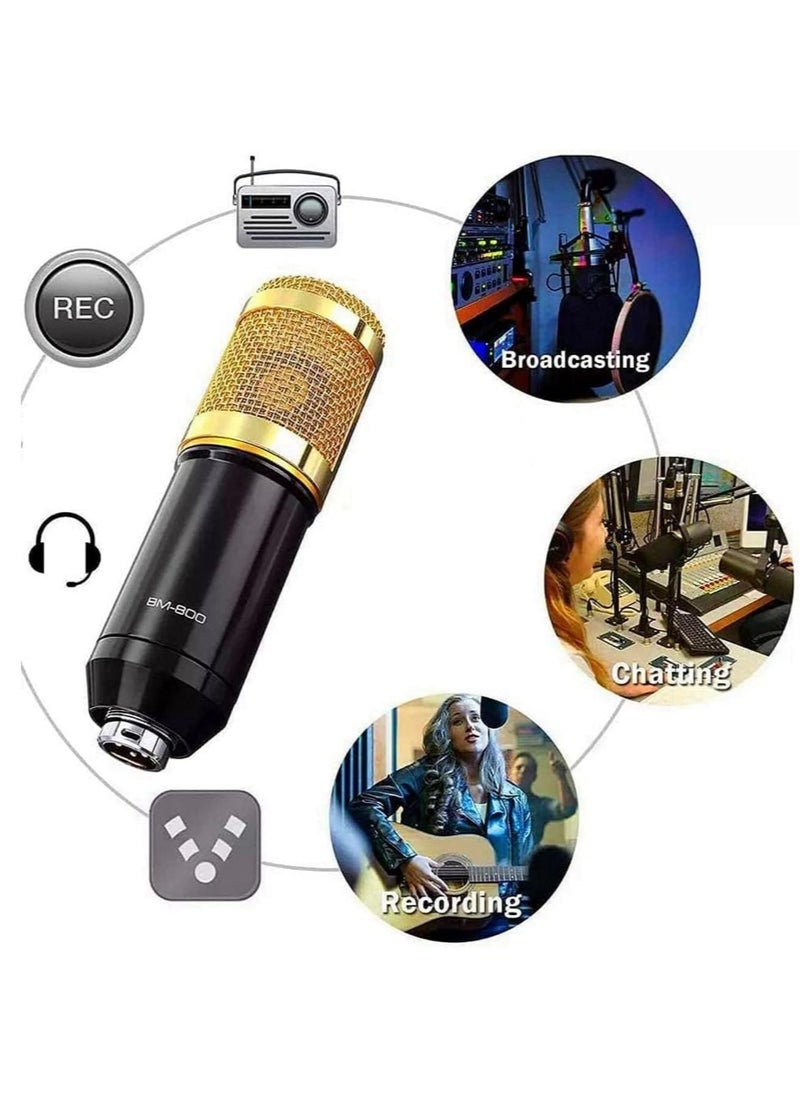ELTRAZONE Blueland Microphone,Live Sound Card & BM800 Suspension Microphone Kit Broadcasting Recording Condenser Microphone Set Intelligent Volume Audio Mixer Sound Card for Computer PC Live Sound  - Image 4