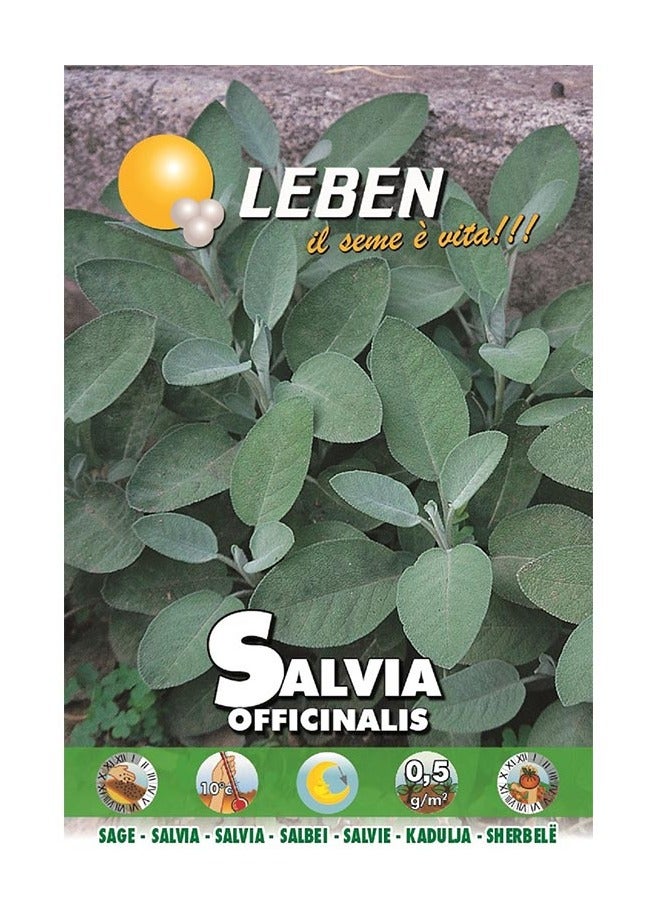 Leben Sage (Salvia Officinalis) Premium Quality Seeds Made in Italy