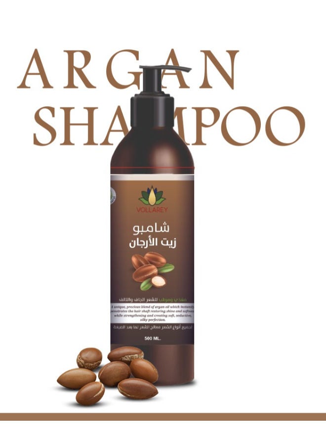 Argan Oil Shampoo Prevents Hair From Falling Out And Nourishes The Scalp 500 ML