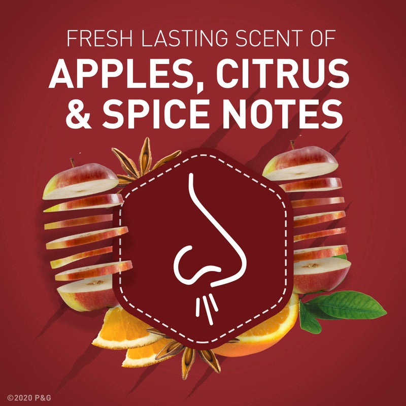 Old Spice Bearglove, 30 oz - Image 2