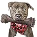 PUPTILY Dog Toys for Aggressive Chewers Indestructible Bones Toy for Aggressive Chewers Tough Puppy Chew Toy for Heavy Duty Dogs Big Dog Teething Toys with Durable Nylon for LargeMedium Breed Puppies - Image 3